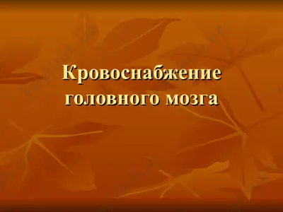 кровоснабжение головного мозга — PPT