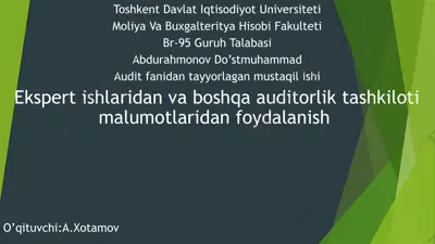ekspert ishlaridan va boshqa auditorlik tashkiloti ma’lumotlaridan foydalanish — PPTX