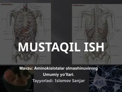 aminokislotalar almashinuvining umumiy yo‘llari — PPTX