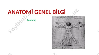 anatomi genel bilgi — PPTX
