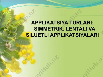 applikatsiya turlari: simmetrik, lentali va siluetli applikatsiyalari — PPTX
