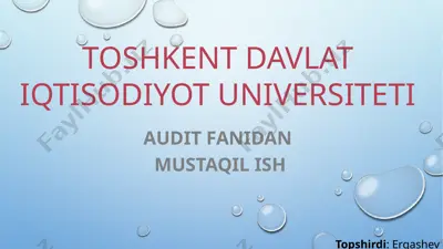 auditning xalqaro standartlariga muvofiq tahliliy amallarning mazmuni va ularni qo‘llash maqsadlari — PPTX