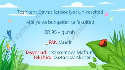 auditorlik xulosasi — PPTX