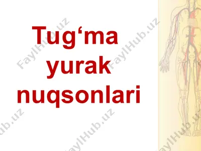 tug‘ma yurak nuqsonlari — PPT