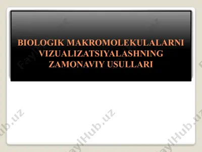 biologik makromolekulalarni vizualizatsiyalashning zamonaviy usullari — PPTX