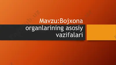 bojxona organlarining asosiy vazifalari — PPTX