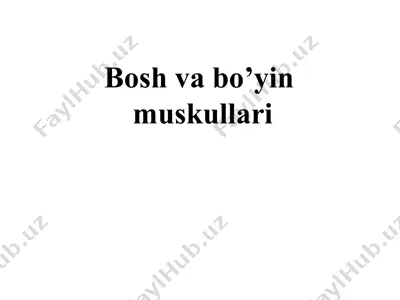 bosh va bo’yin muskullari — PPT