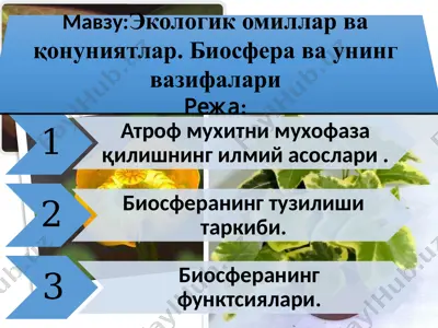экологик омиллар ва қонуниятлар. биосфера ва унинг вазифалари — PPTX