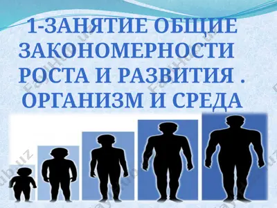 занятие общие закономерности   роста и развития . организм и среда — PPTX