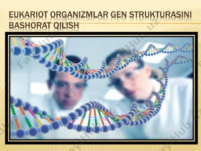 eugenes ma’lumotlar bazasi — PPT