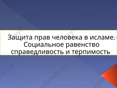 защита прав человека в исламе. социальное равенство справедливость и терпимость — PPTX