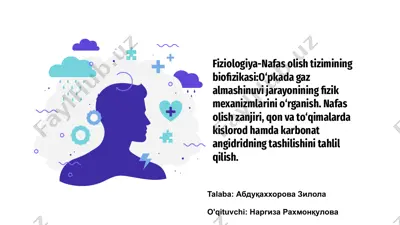 fiziologiya-nafas olish tizimining biofizikasi — PPTX