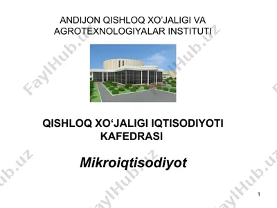 iste'molchi tanlovi nazariyasi — PPT