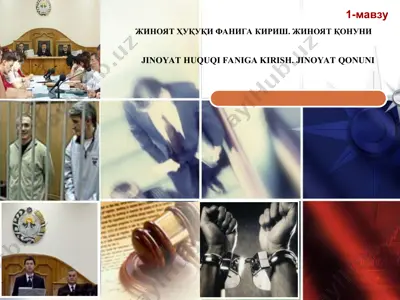 jinoyat ҳуқуқи фанига кириш. жиноят қонуни — PPT