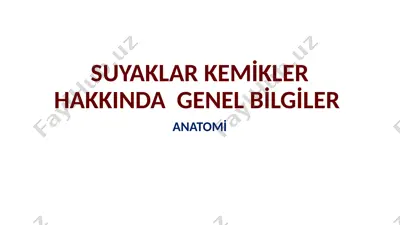 suyaklar kemikler hakkında genel bilgiler — PPTX