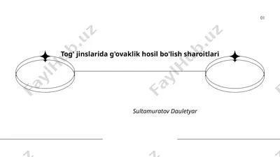 tog' jinslarida g'ovaklik hosil bo'lish sharoitlari — PPTX
