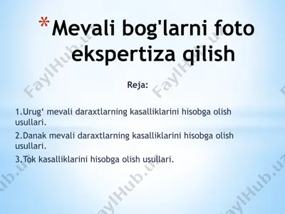 mevali daraxtlarning kasalliklarini hisobga olish usullari — PPTX