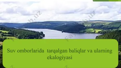 suv omborlarida baliqlar va ularning ekalogiyasi — PPTX