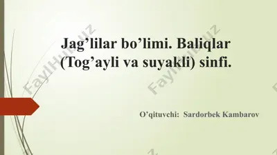 jag’lilar bo’limi. baliqlar (tog’ayli va suyakli) sinfi — PPTX