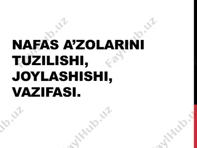 nafas a’zolarining tuzilishi va vazifalari — PPTX