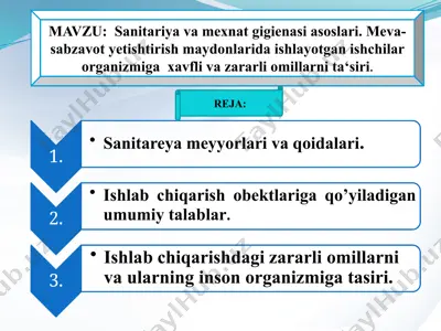 sanitariya va mexnat gigienasi asoslari — PPTX