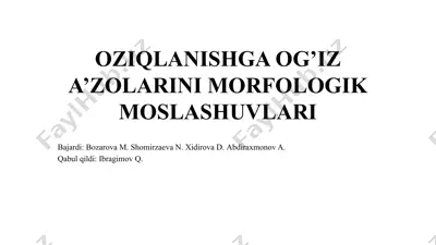 oziqlanishga og’iz a’zolarini morfologik moslashuvlari — PPTX