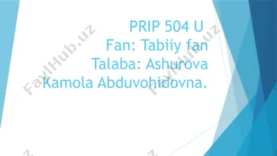 qimmatbaho toshlar haqida — PPTX