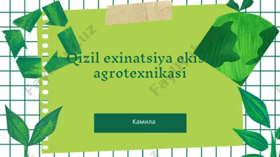 qizil exinatsiya ekish agrotexnikasi — PPTX