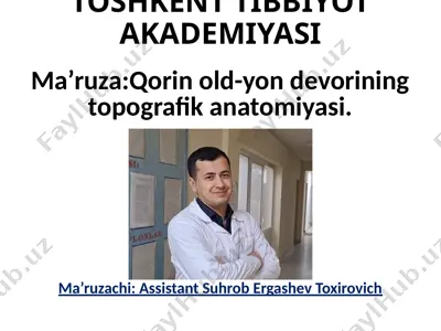 qorin old-yon devorining topografik anatomiyasi — PPTX