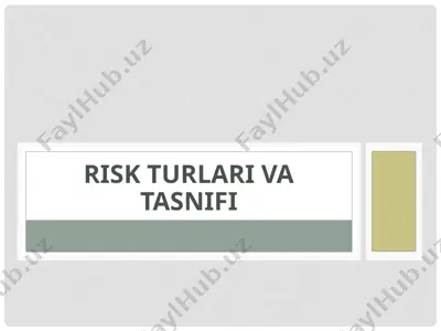 risk turlari va tasnifi — PPTX