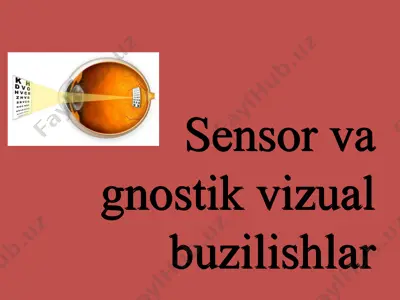 sensor va gnostik vizual buzilishlar — PPT