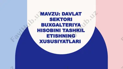 davlat sektori buxgalteriya hisobini tashkil etishning xususiyatlari — PPTX