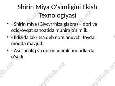 shirin miya oʻsimligini ekish texnologiyasi — PPTX