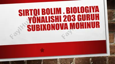 uchib ketuvchi qushlar va ularning ekalogiyasi — PPTX