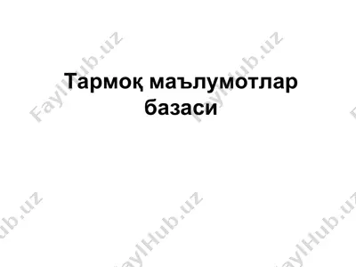 tarmoq ma'lumotlar bazasi — PPT