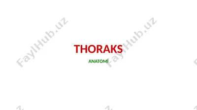 thoraks — PPTX