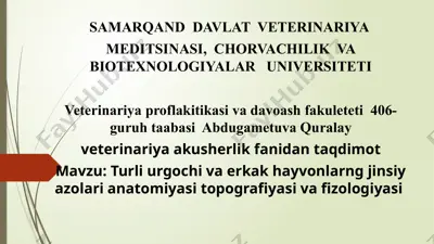 erkak hayvonlarning jinsiy tizimi anatomiyasi va fizologiyasi — PPTX