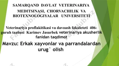 urug‘ olish jarayoni — PPTX