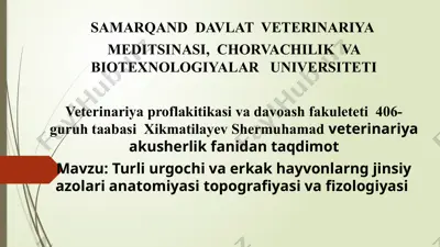 erkak hayvonlarning jinsiy tizimi anatomiyasi va fizologiyasi — PPTX