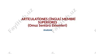 arti̇culati̇ones ci̇nguli̇ membri̇ superi̇ores (omuz sentürü eklemleri) — PPTX