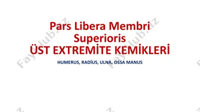pars libera membri superiorisüst extremi̇te kemi̇kleri̇ — PPTX