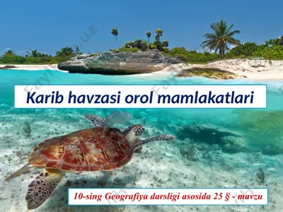 karib havzasi orol mamlakatlari. 10 - sinf — PPTX