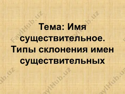 имя существительное. типы склонения имен существительных — PPT