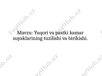 yuqori va pastki kamar suyaklarining tuzilishi va birikishi — PPTX