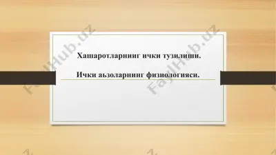 ichiq tuzilishi va ichki a'zolarni fiziologiyasi — PPTX