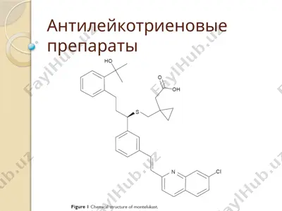 антилейкотриеновые препараты — PPTX