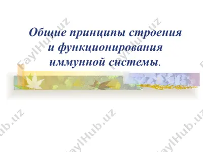общие принципы строения и функционирования иммунной системы — PPT