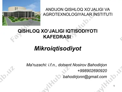 iste'molchi tanlovi nazariyasi — PPT