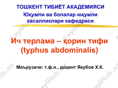 қорин тифи (typhus abdominalis) — PPT