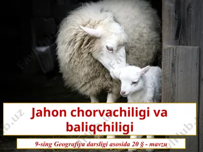 jahon chorvachiligi va baliqchiligi . 9 - sinf — PPTX